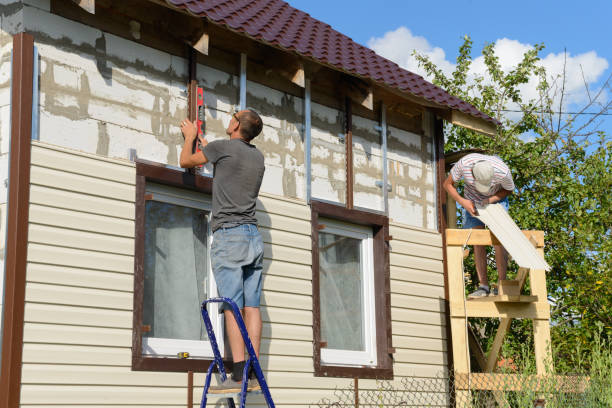 Best Siding Removal and Disposal  in Creighton, NE